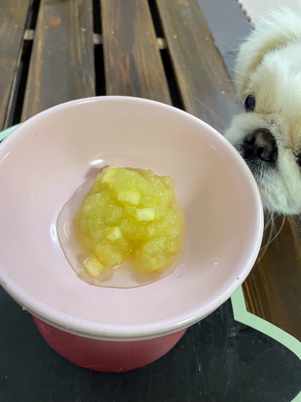 自然な甘さの水分補給おやつ♪りんごゼリー | 犬太郎ガーデン