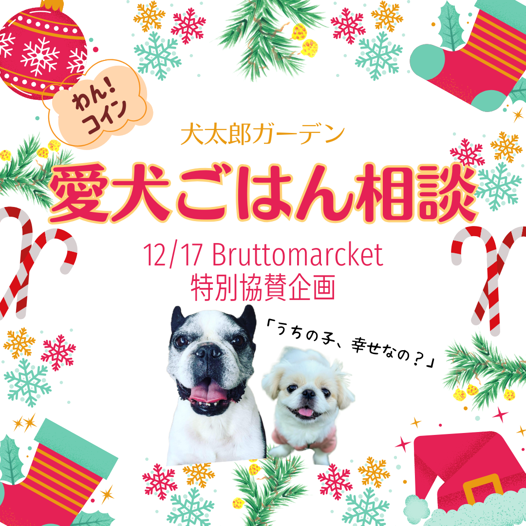 うちの子、幸せなの？【12/17BRUTTO MARKET】